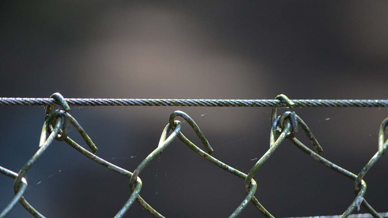 Seguridad perimetral