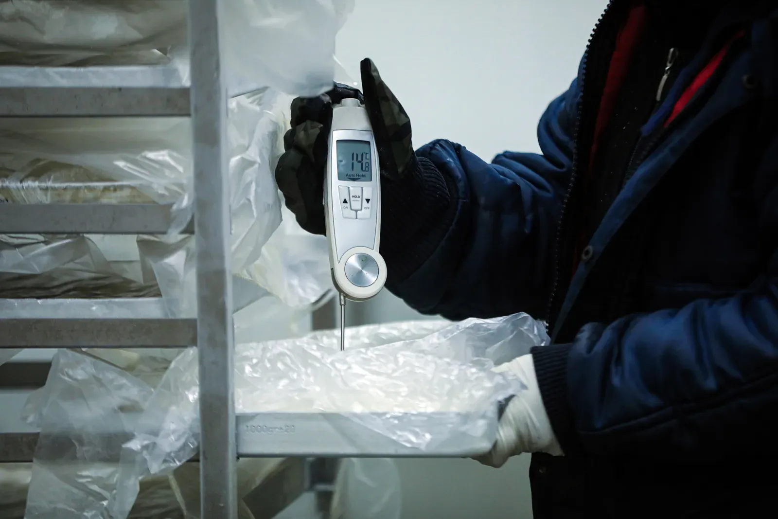 Operario midiendo con termómetro de pincho la temperatura de un producto en cámara de frío